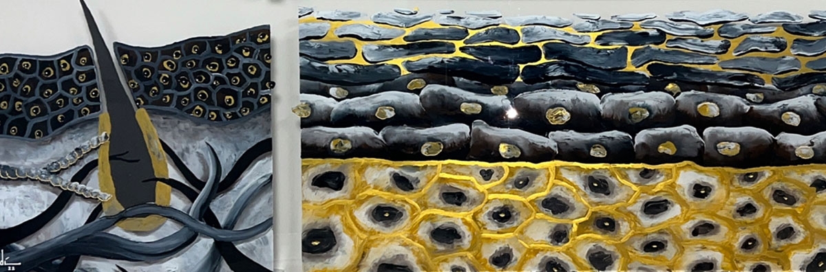 Banner "A Clínica"